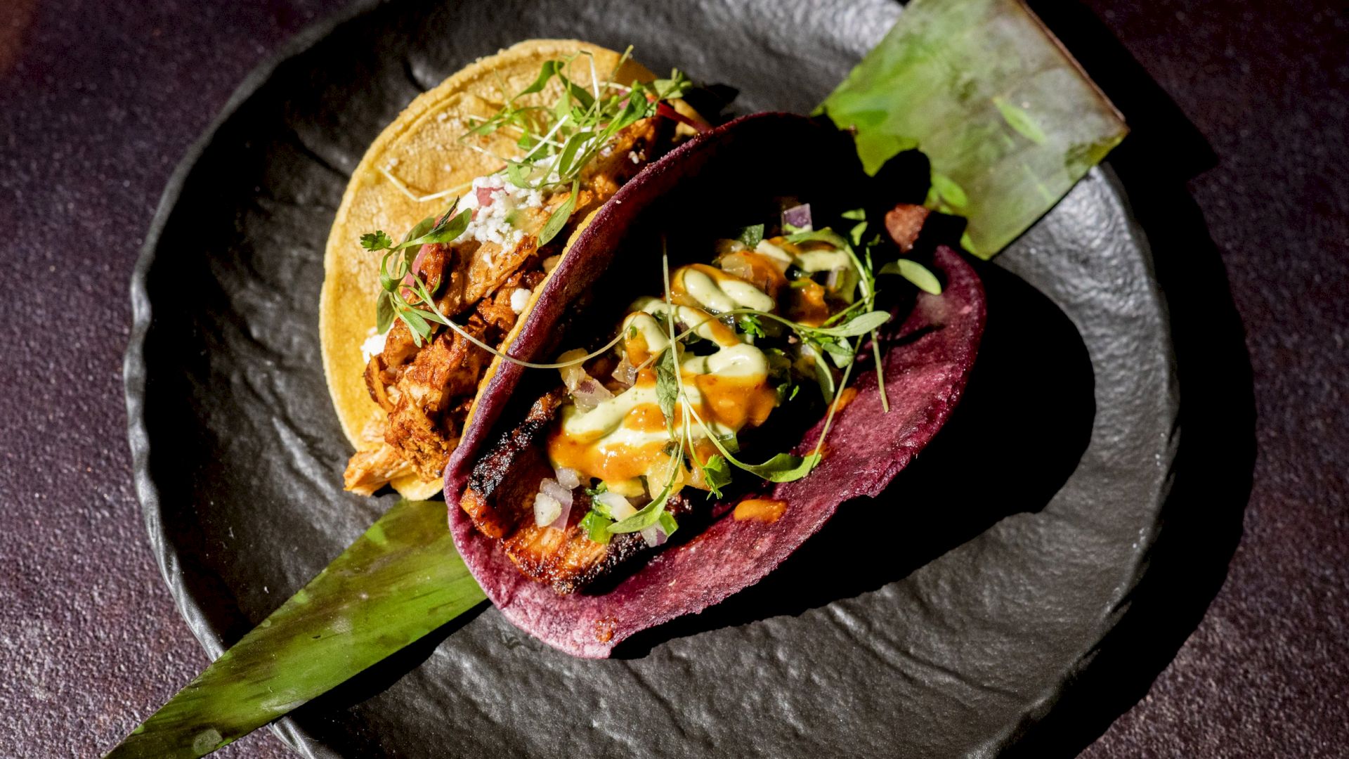 Tacos on a dark plate at COA